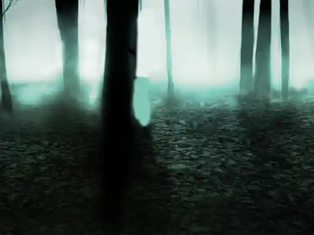 Игра The cursed forest для компьютера-пк-pc, Душанбе