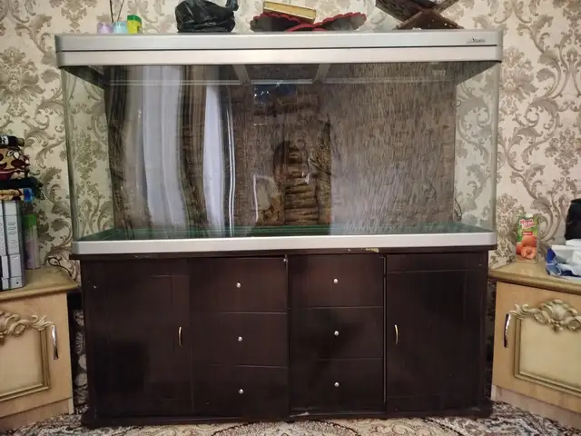 Аквариум, Душанбе