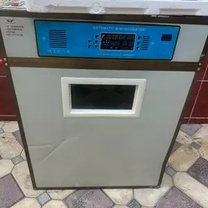 Инкубатор, Худжанд