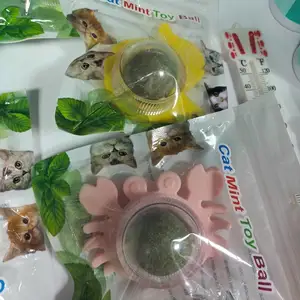 Мята для кошек, Худжанд