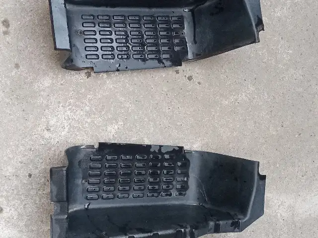 Подноши от газель, Душанбе