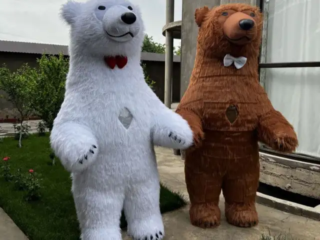 Костюм медведей, Худжанд
