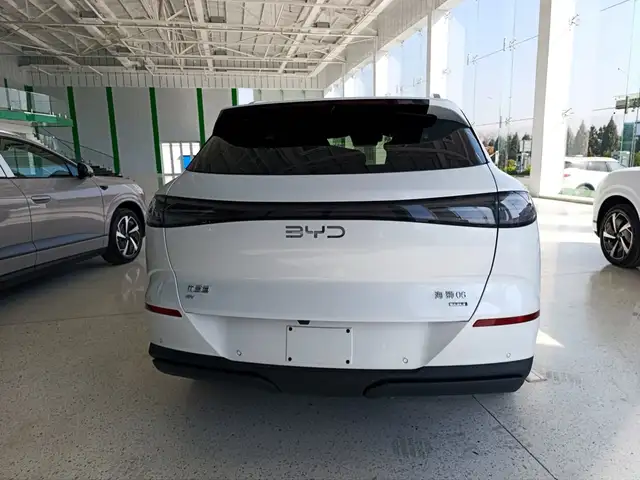 BYD Sea Lion 06, 2025, Душанбе - 5