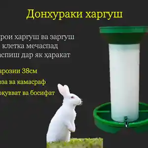 Донхурак/Кормушкаи харгуш, Душанбе