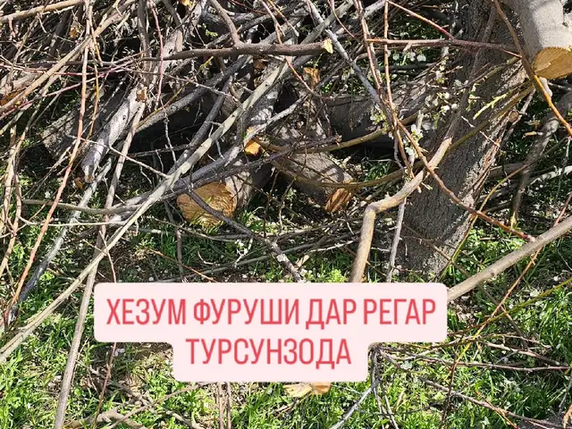 Хезум, Турсунзода