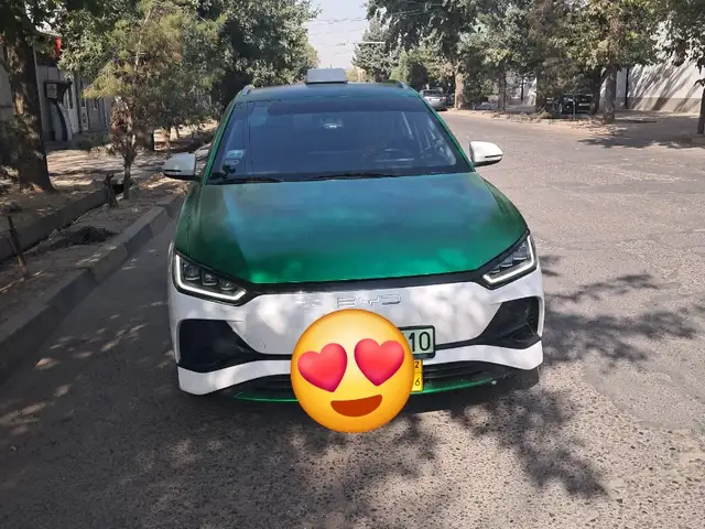 BYD E2