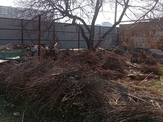 Хезум, Худжанд