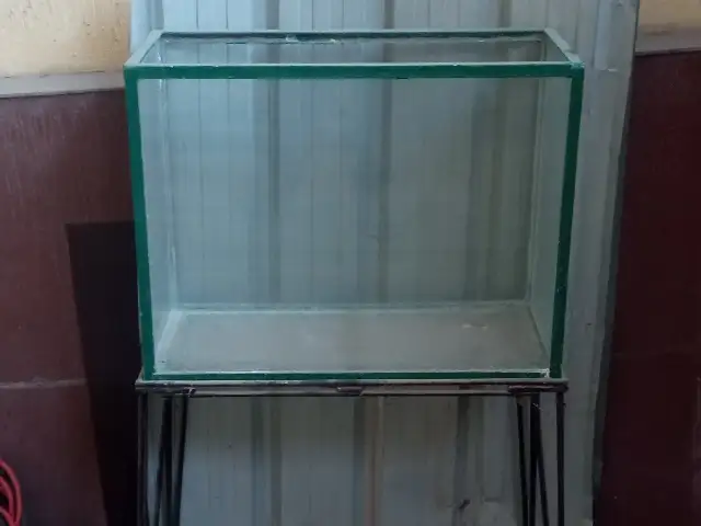 Аквариум, Душанбе