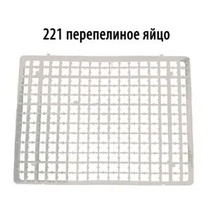 Флейка барои инкубатор, Душанбе