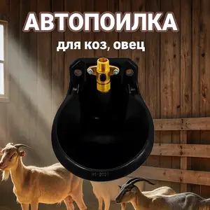 Обхурак/Поилка овец и коз чугунная, Душанбе