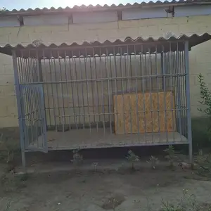 Клетка, Худжанд