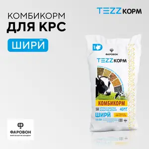 Комбикорм для дойных коров, Бободжон Гафуров