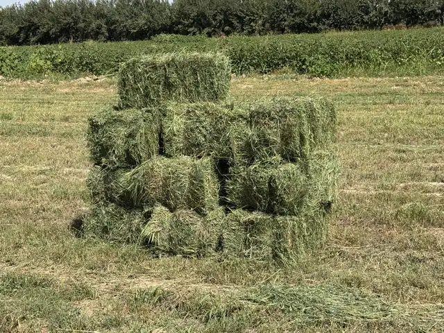 Пресси беда, Фархор