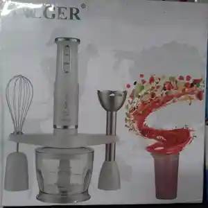 Блендер Haeger, Душанбе