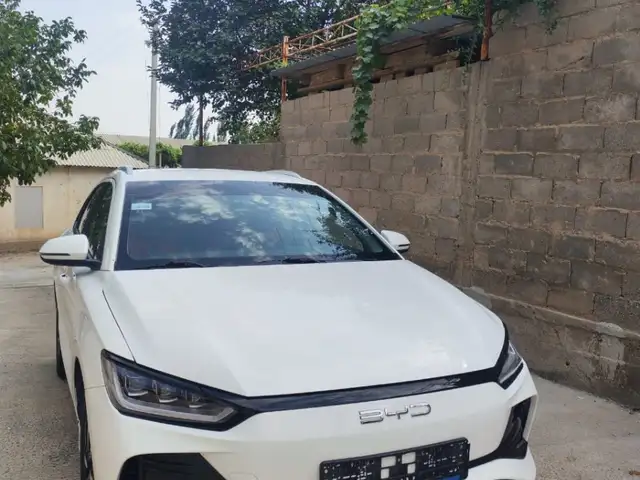 BYD E2