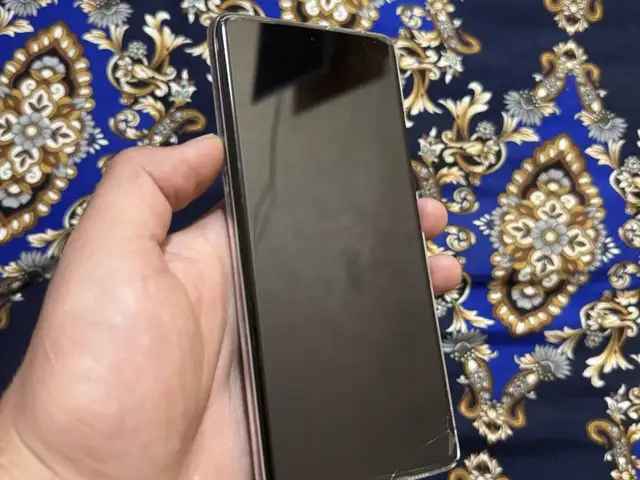 Samsung Galaxy S21 Ultra 5G, Турсунзаде