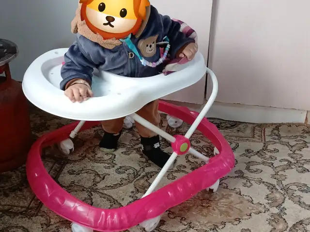 Ходунок, Гулистон (Кайраккум)