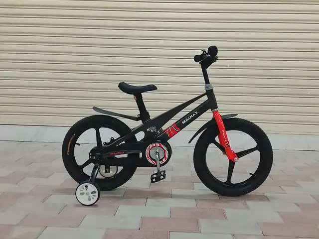 Фирменный Велосипед, Душанбе