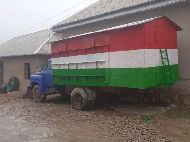 Вагон занбур, Ёвон