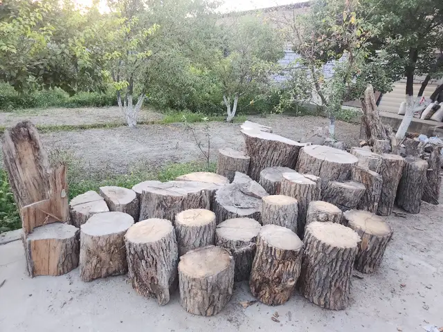 Кунда хезум, Хуҷанд