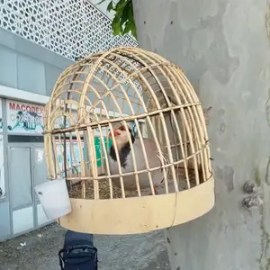 Кабк, Душанбе