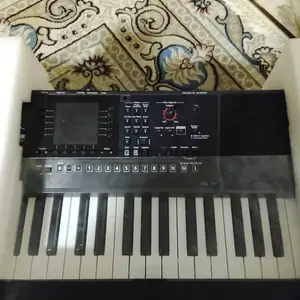 Синтезатор Roland E-A7, Пенджикент