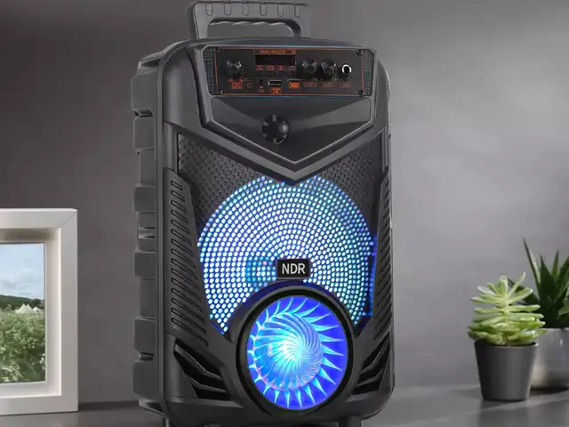 Портативные колонки NDR-P55 с микрафоном, Душанбе