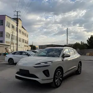 BYD Sea Lion 06