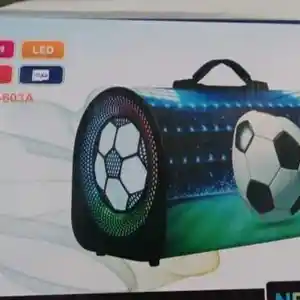 Колонка Ttd-603A, Душанбе