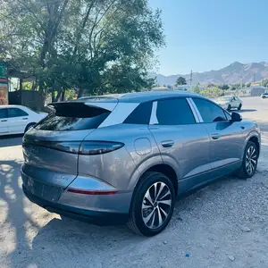 BYD Sea Lion 06