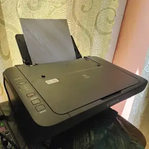 Принтер, Канибадам