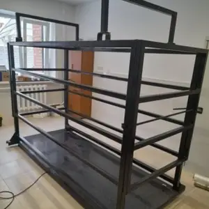 Весы для животных, Душанбе