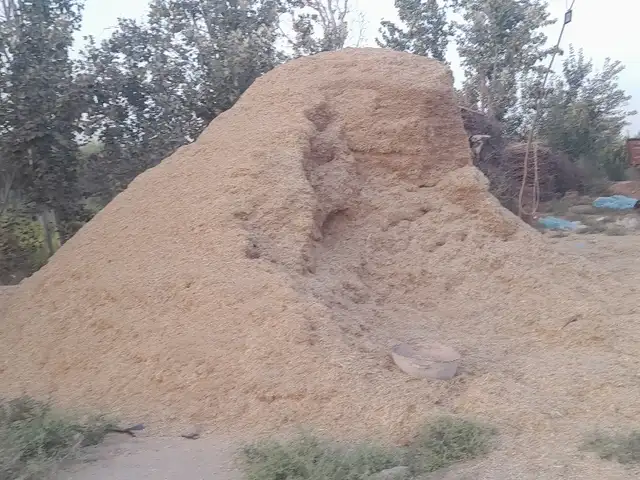 Кахи майда, Вахш