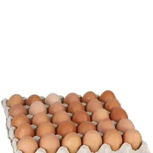 Тухм, Душанбе