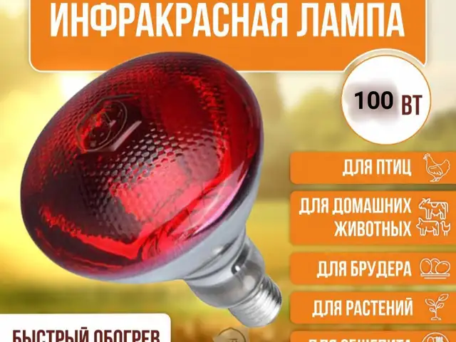 Инфракрасная лампа 100W \ 220V, Бохтар (Курғон-Теппа)