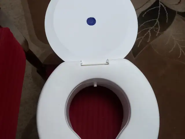 Насадка на унитаз, Худжанд