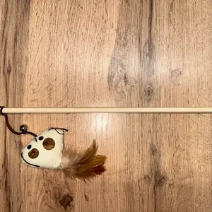 Дразнилка для кошек, Душанбе
