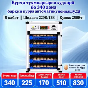 Инкубаторӣ электронӣ, Турсунзода