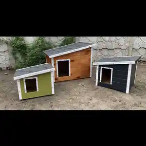 Домик для собак, Душанбе