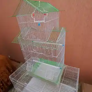 Клетка для попугаев, Хуҷанд
