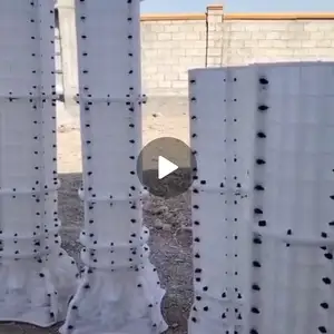 Колона, Яван