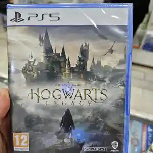 Игра Hogwarts playstation 5, Душанбе
