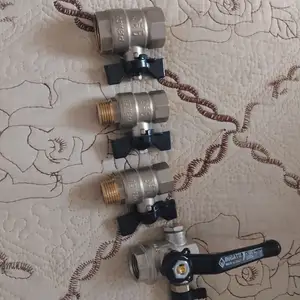 Винтель бронзовый, Худжанд