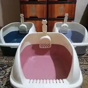 Лоток для кошек, Душанбе