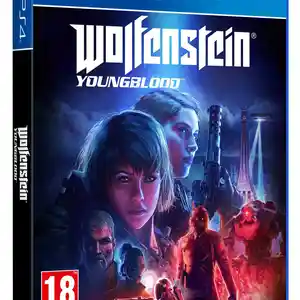 Игра Wolfenstein Youngblood для PS-4 / 6.72 / 9.00 / 11.00 / 11.52 / 13.00 / /, Душанбе