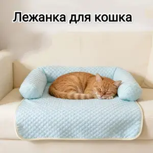 Лежанка для кошек, Душанбе