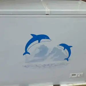 Морозильник BD-BC-250, Душанбе