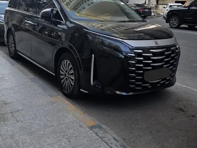 BYD Модели дигар