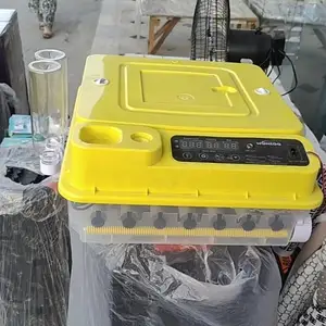 Инкубатор, Пенджикент