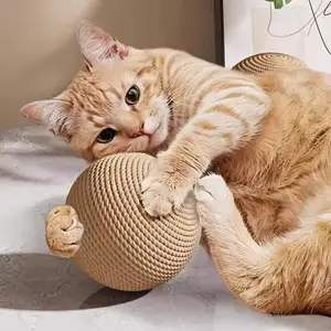 Шарик для кошки, Душанбе